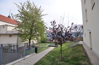 Fotka 17