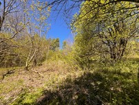 Fotka 17
